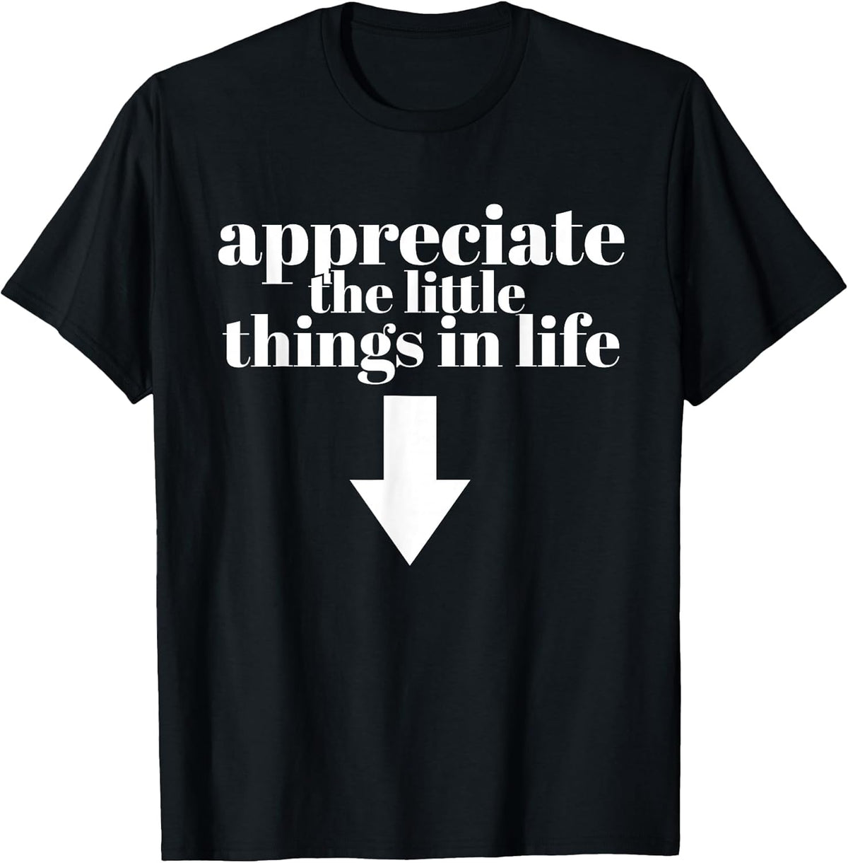 Appreciate The Little Things in Life Arrow Funny Adult Joke T-Shirt