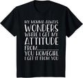 Funny Attitude T-Shirt Got It from My Momma Toddler Kids Tee T-Shirt