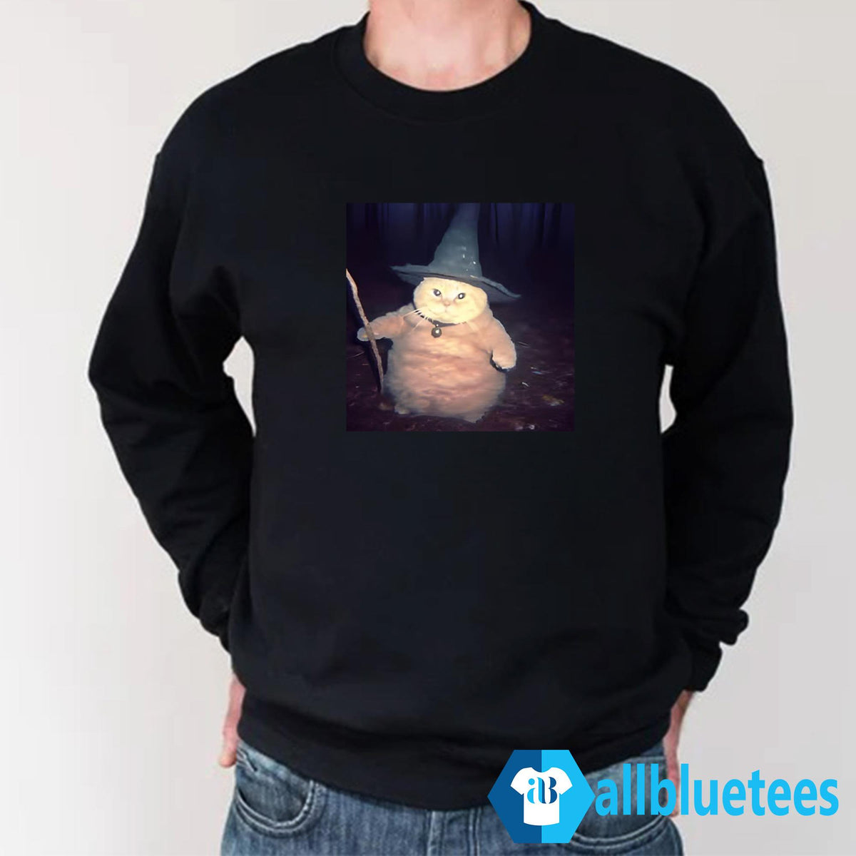 Cheeseball The Wizard Cat Meme Shirt