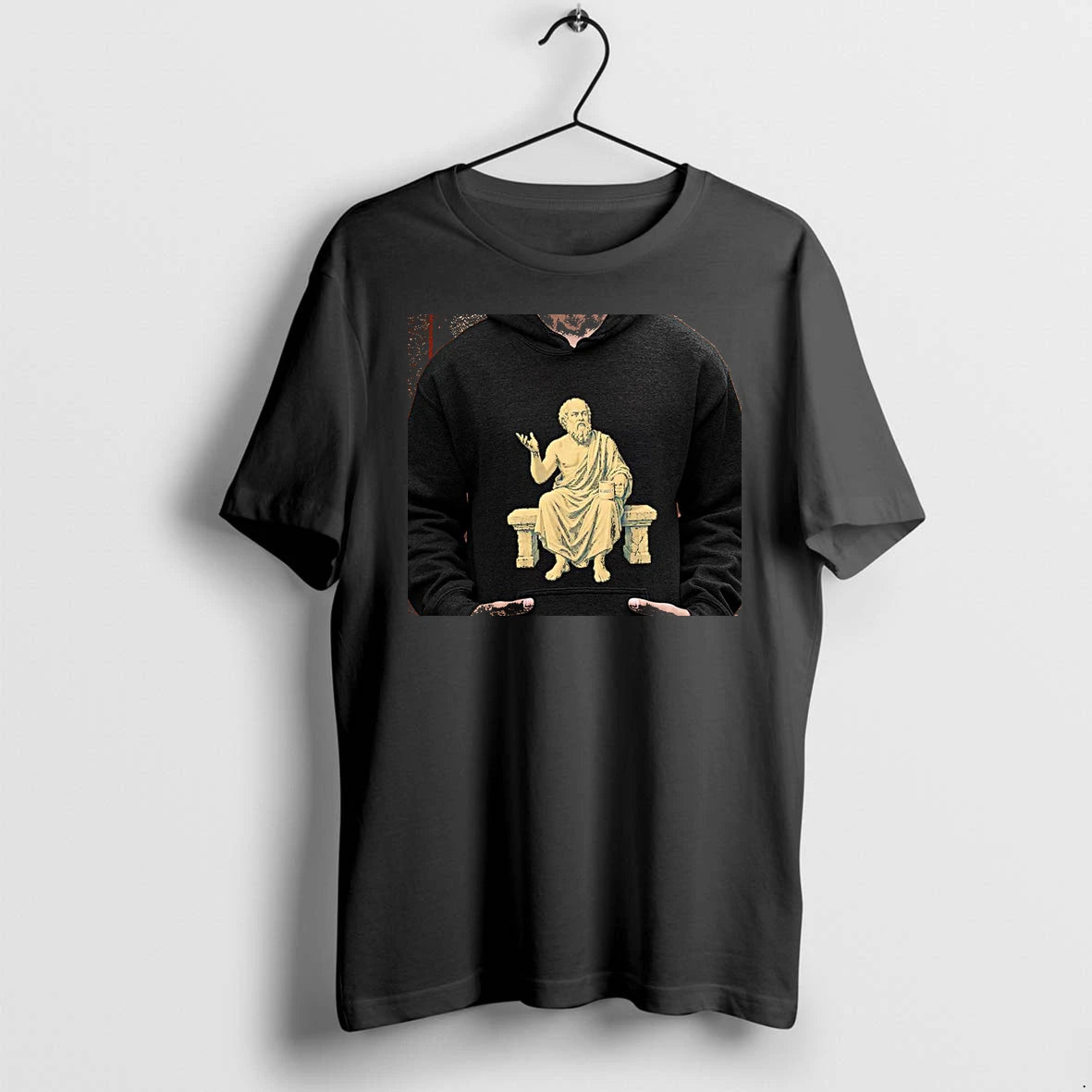 Officials Socrates Allegedly Philosophy Humor Quote Philosophy Concept Premium T Shirt