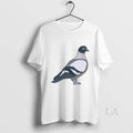 Original Pigeon Bird