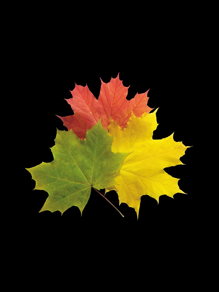 Fall Colored leaves, Flannel weather by Crafty-Deeja