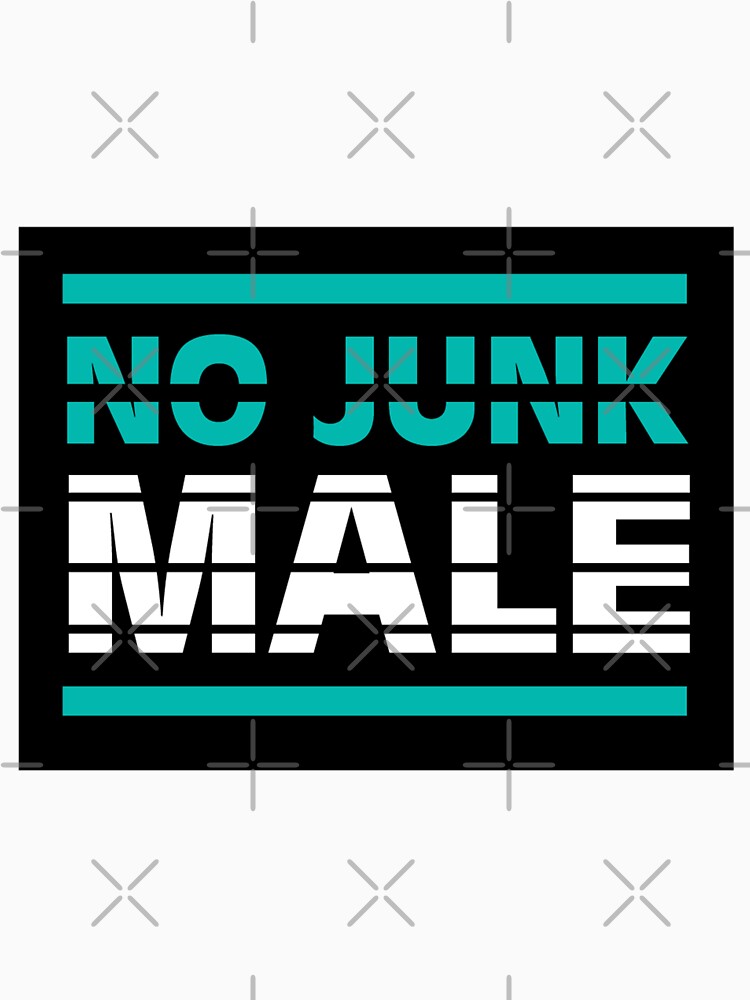 Funny Gifts For Single Girls - No Junk Male - Single Gay Guy Gifts - Single Lgbt Gifts - Just Divorced Gifts by happygiftideas