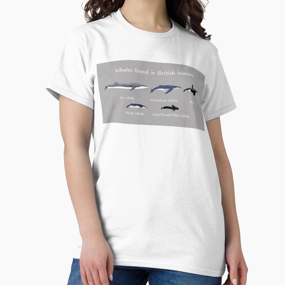 Whales found in British waters - Cetaceans by SteveEvansArt