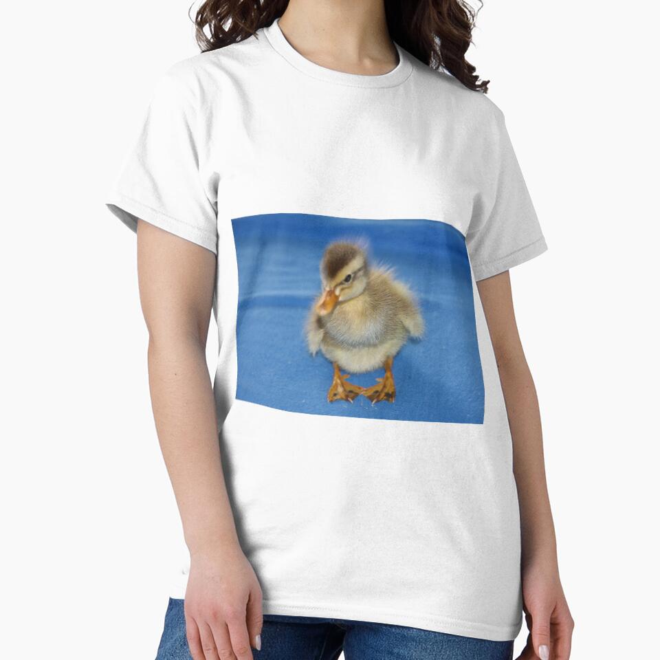 Sunny the running duckling by Roswitha Lorz