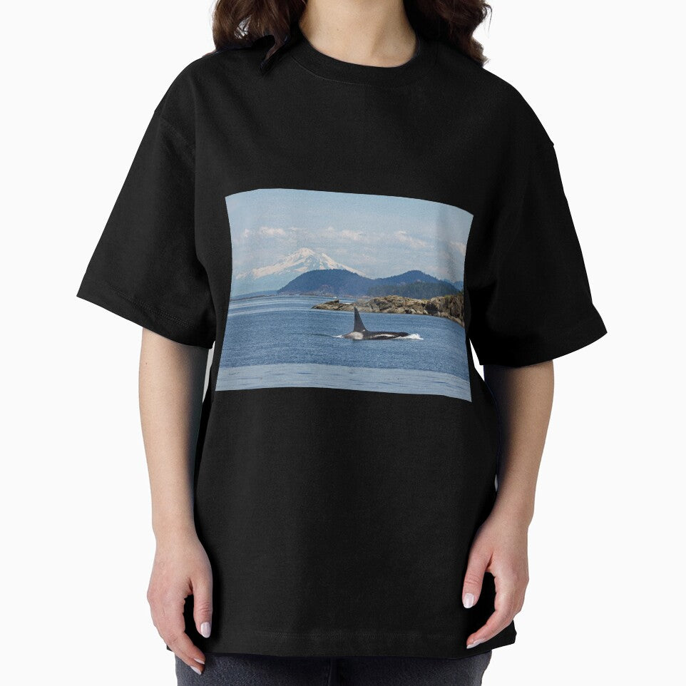 Orca and Mt Baker by RichImage