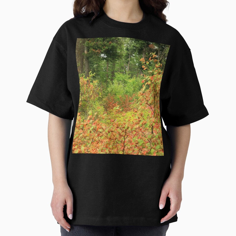 In the forest,, Montana, Flathead County, Autumn Colors, yellow leaves, red leaves, brown leaves, by LCAppling